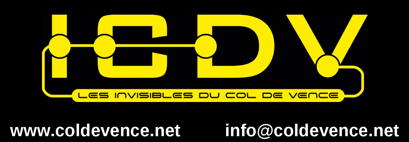 Logo ICDV