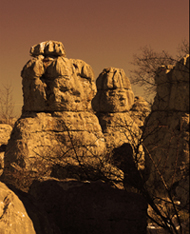 Rochers calcaires du plateau de Saint-Barnabé